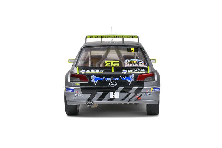 Peugeot 306 Maxi Rally du Mont Blanc #5 '21 1:18